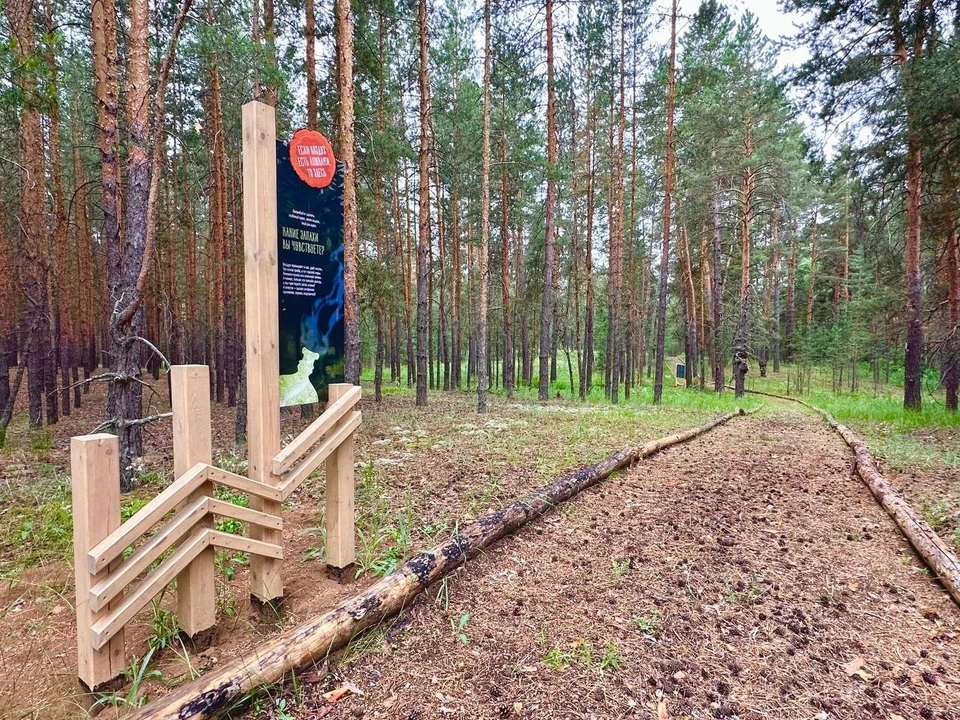 В регионе благоустроили еще один экологический маршрут. Фото:Национальный парк «Бузулукский бор»