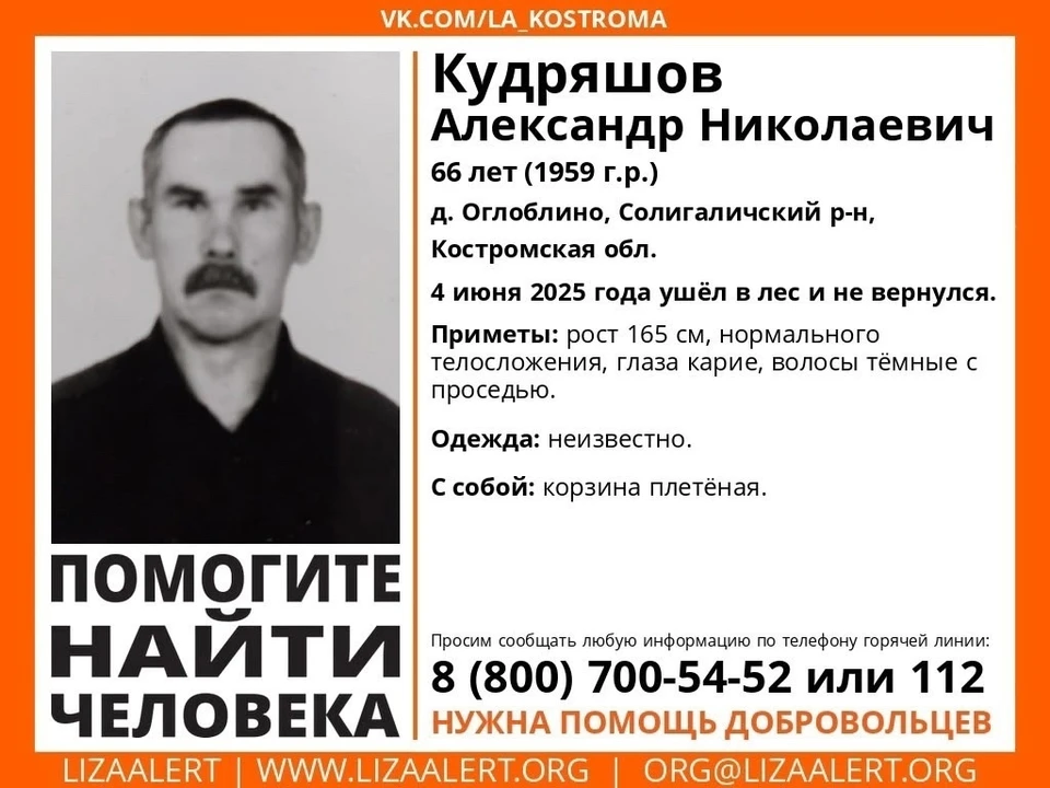 Фото: ДПСО "Лиза Алерт" Костромской области