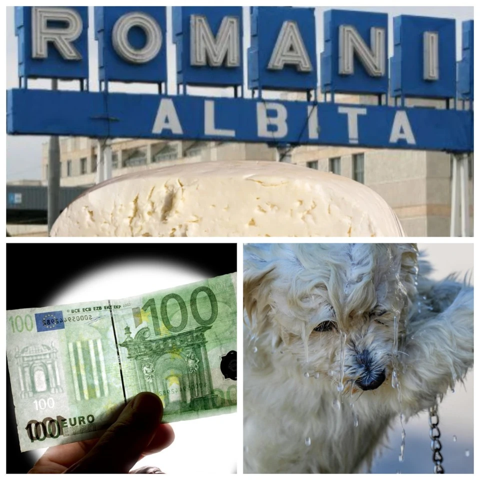 Главные новости в Молдове.