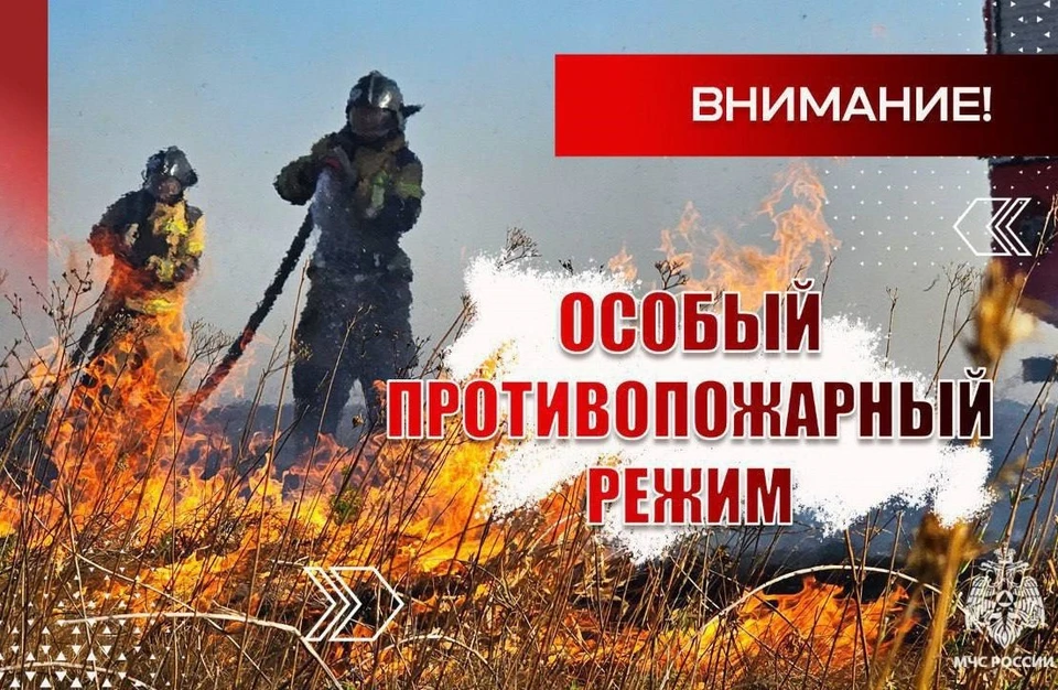 Существует вероятность происшествий, связанных с возникновением лесных и ландшафтных пожаров. Фото: МЧС России по ДНР