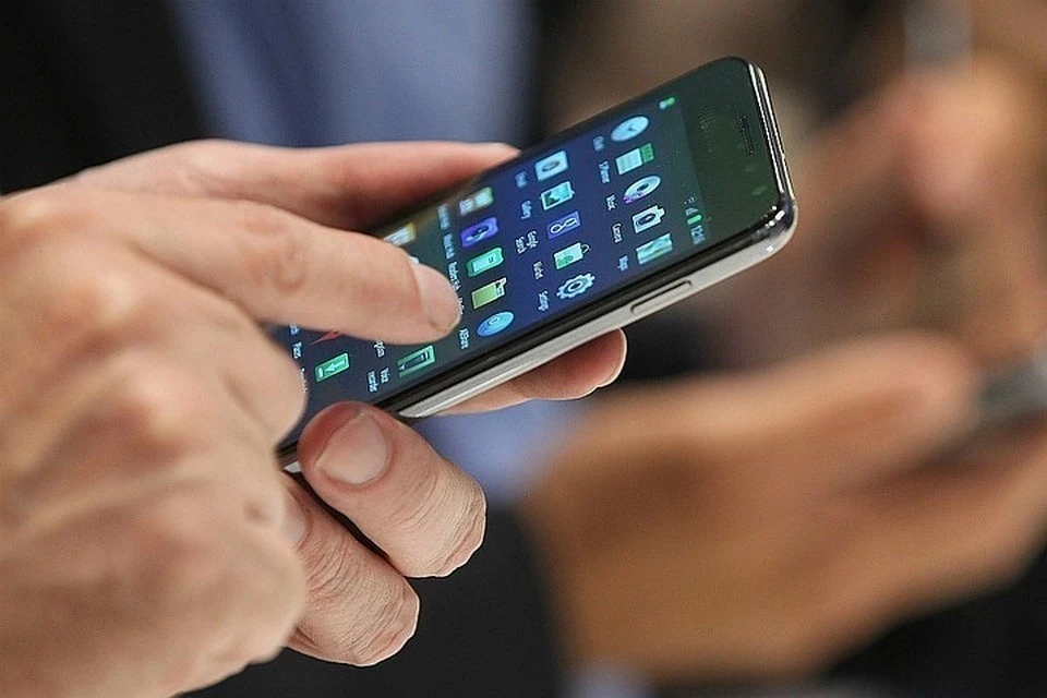В Минцифры назвали особенность российской цифровой платформы