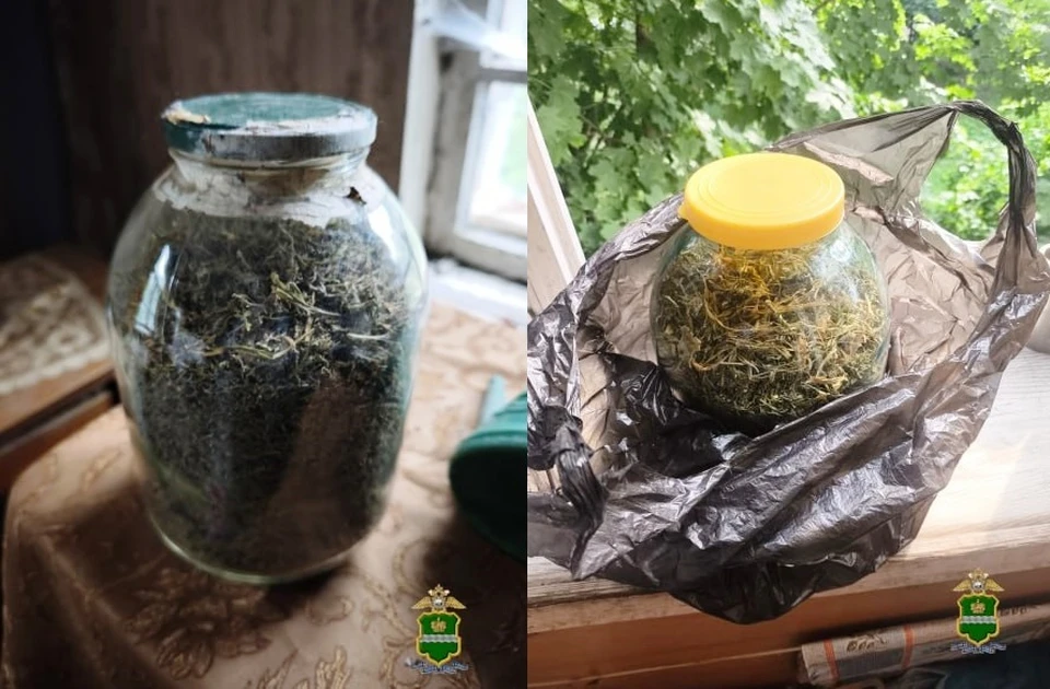 Жительница Калужской области попала под статью за хранение каннабиса.