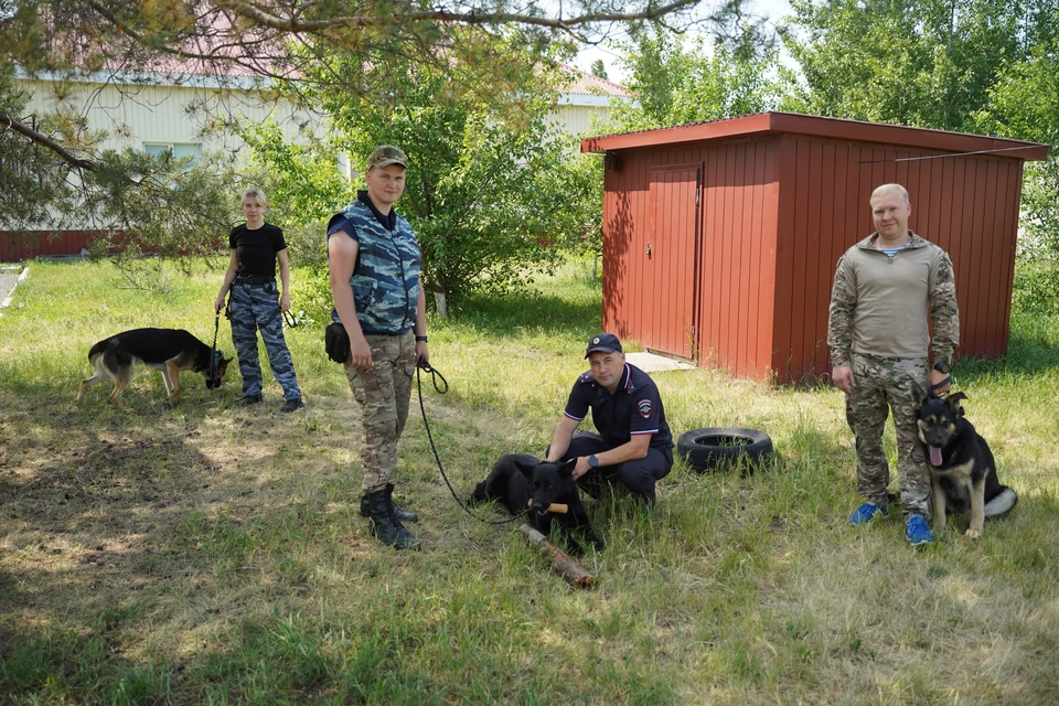 Ветеринарная служба оказывает животным всестороннюю ветеринарную помощь, располагая современным оборудованием, включая аппарат УЗИ. Фото УМВД России по Липецкой области.