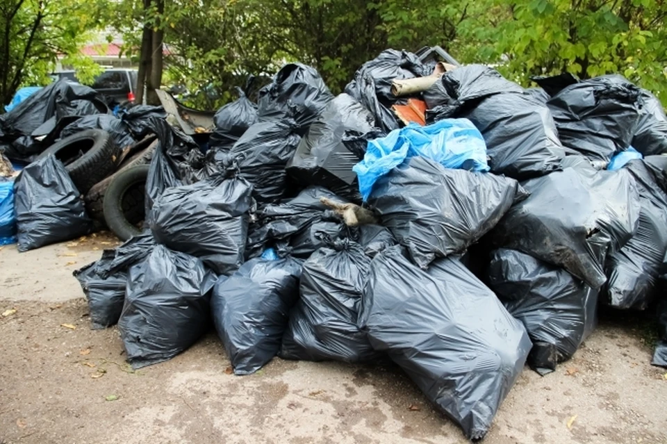 В ЕАО ликвидирована незаконная свалка в заказнике «Шухи-Поктой»
