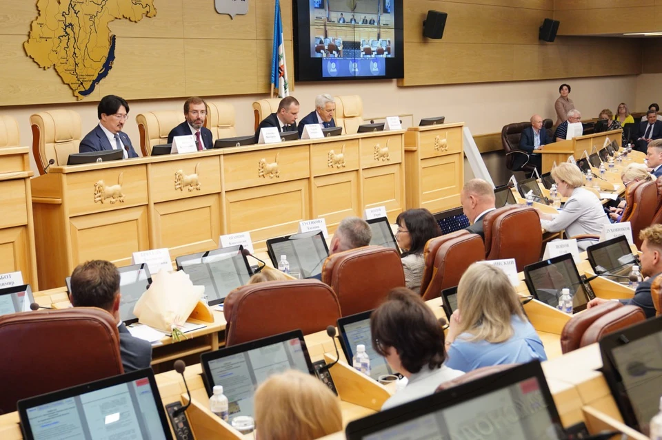 Комитет Госдумы по охране здоровья второй раз проводит выездное заседание в Иркутской области. Фото: Лора ГУЛ