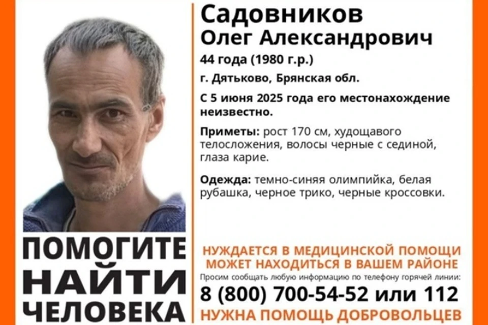 Фото: поисковый отряд "Лиза Алерт", ВКонтакте.