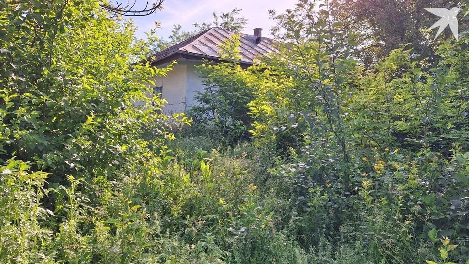 Десятки сёл в Молдове на грани исчезновения. Фото: КП