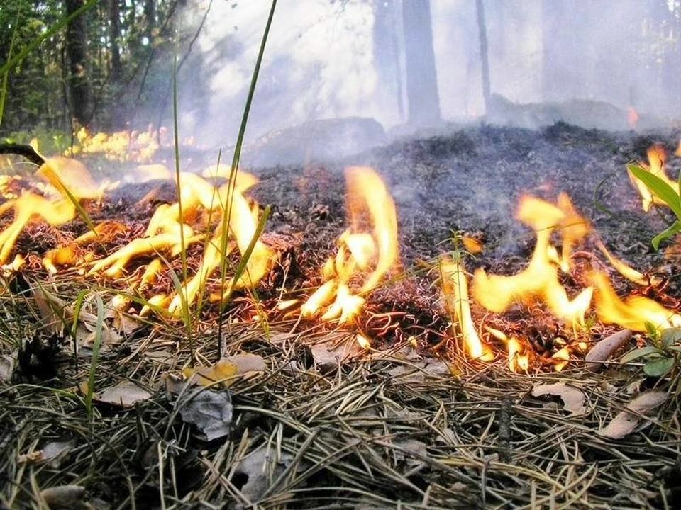 Пожар