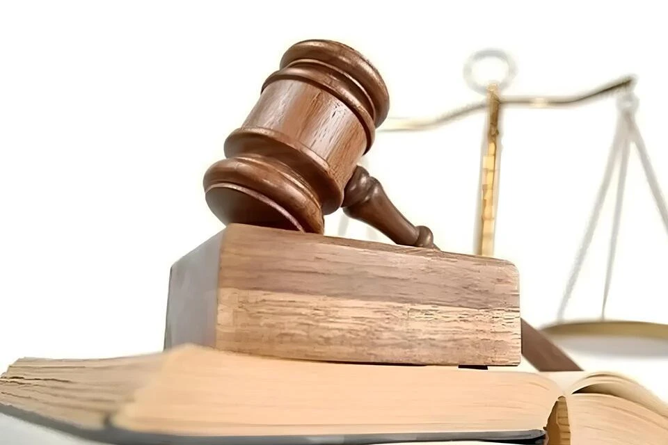 36-летняя хозяйка дома теперь проведет 2 года в колонии.