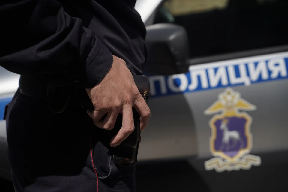 Бизнесмен из России Карапетян сдался полиции в Армении