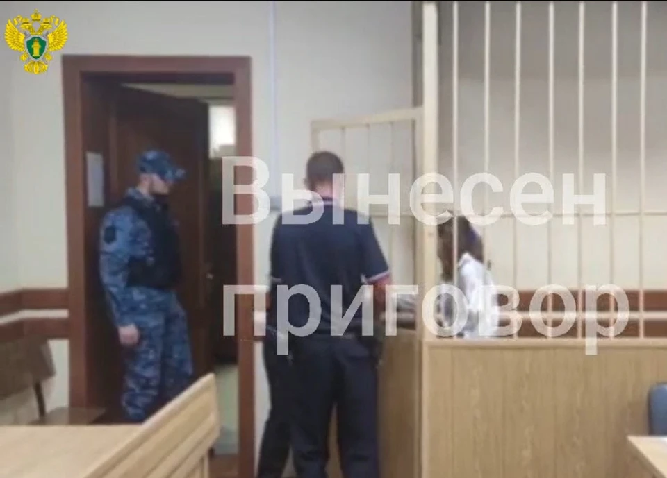 Москвичка планировала поработать «закладчией» в Тульской области, попала в суд