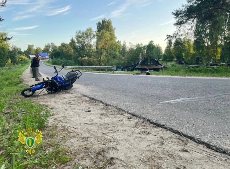 Фото: пресс-служба прокуратуры Костромской области