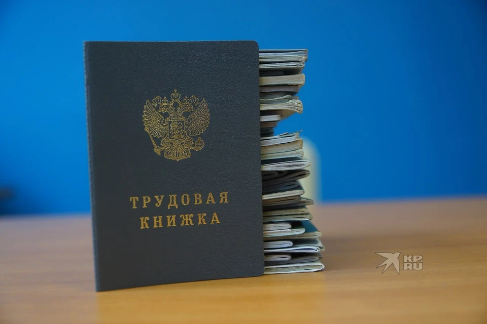Жители региона в возрасте от 14 до 18 лет получили более 132,7 тысяч приглашений на работу