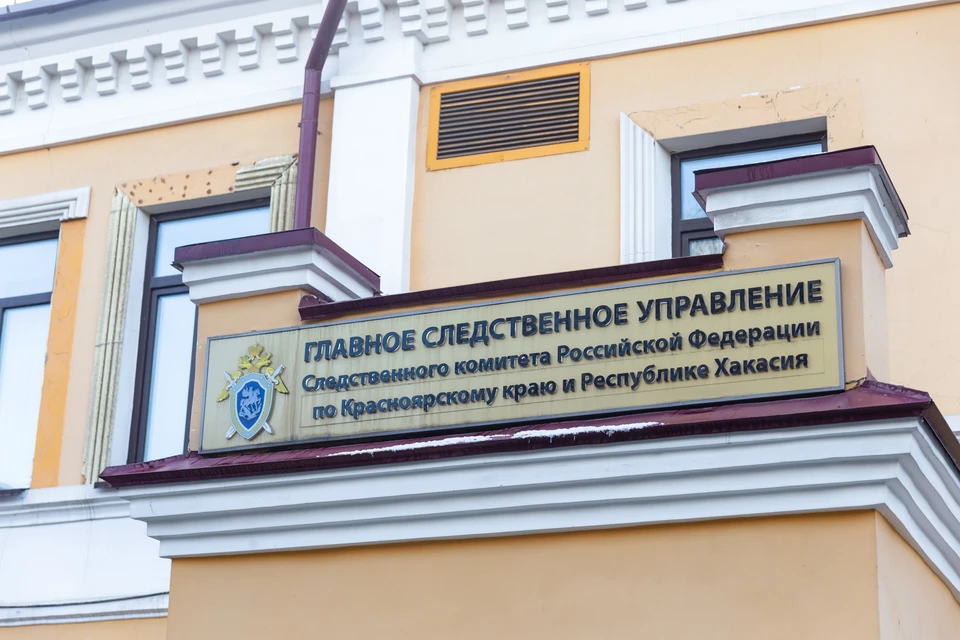 В Красноярске директор фирмы скрыла налогов на 46 миллионов рублей