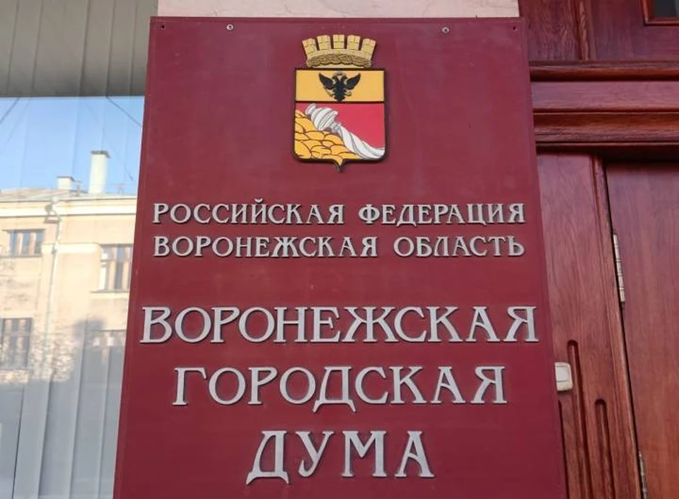 Новый состав Воронежской городской Думы определят 14 сентября.