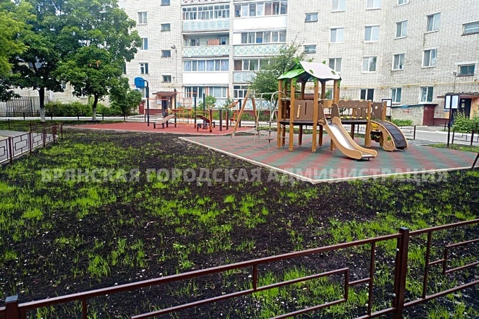 Фото: пресс-служба Брянской городской администрации.