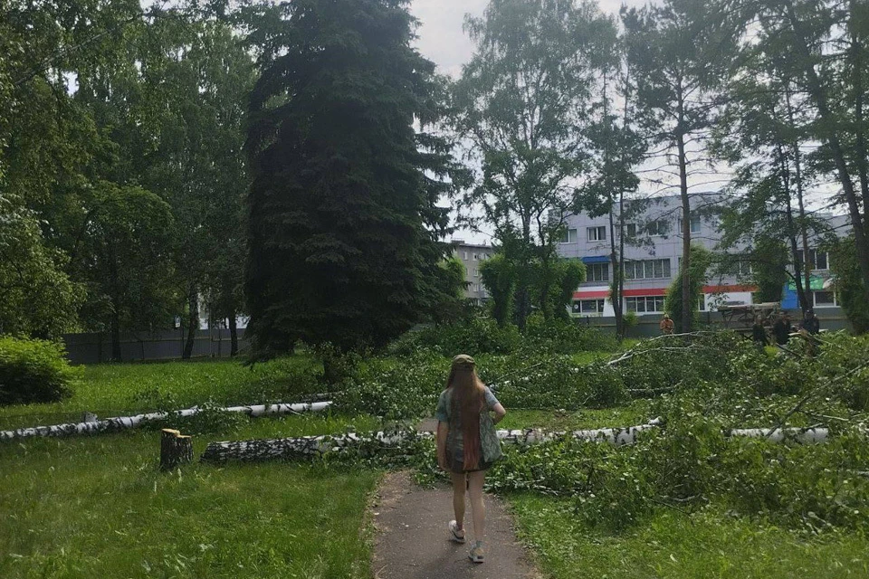Губернатор Кузбасса распорядился остановить строительство в сквере Новокузнецка.