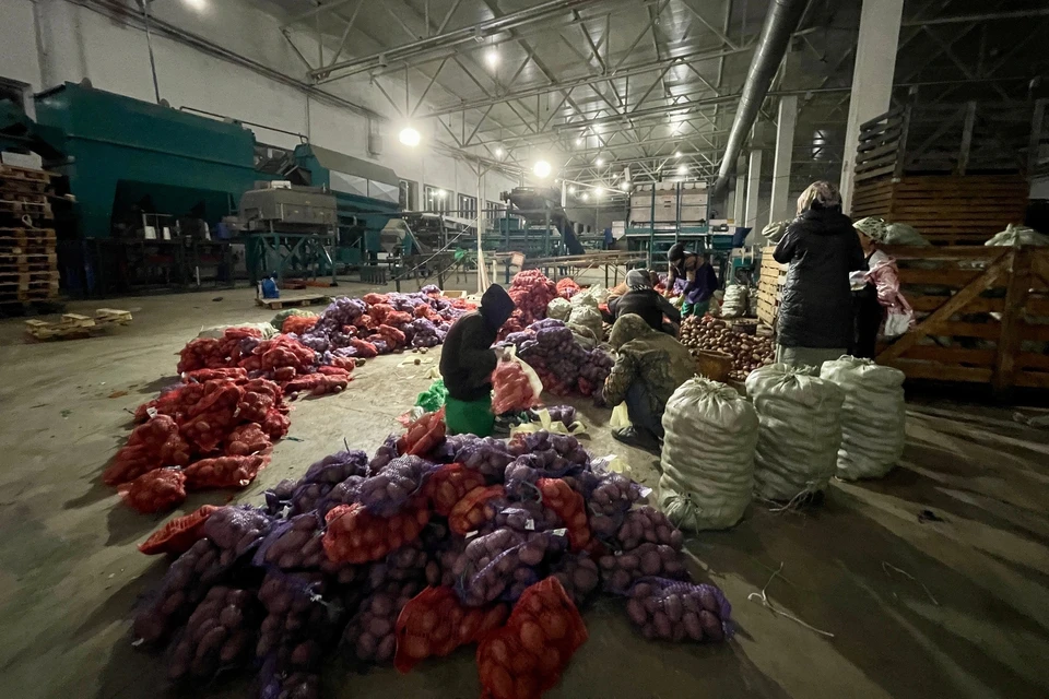 Проверки прошли в разных местах.