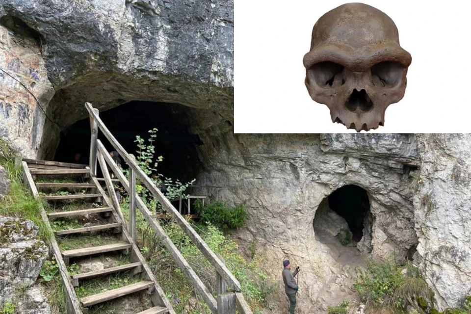 Геном черепа совпадает с останками в Денисовой пещере. Фото: Анна Семина/Hebei GEO University/Science