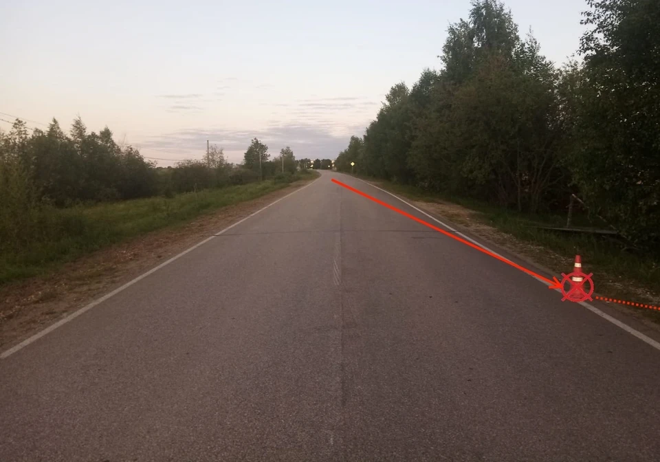 Фото: Госавтоинспекция Коми