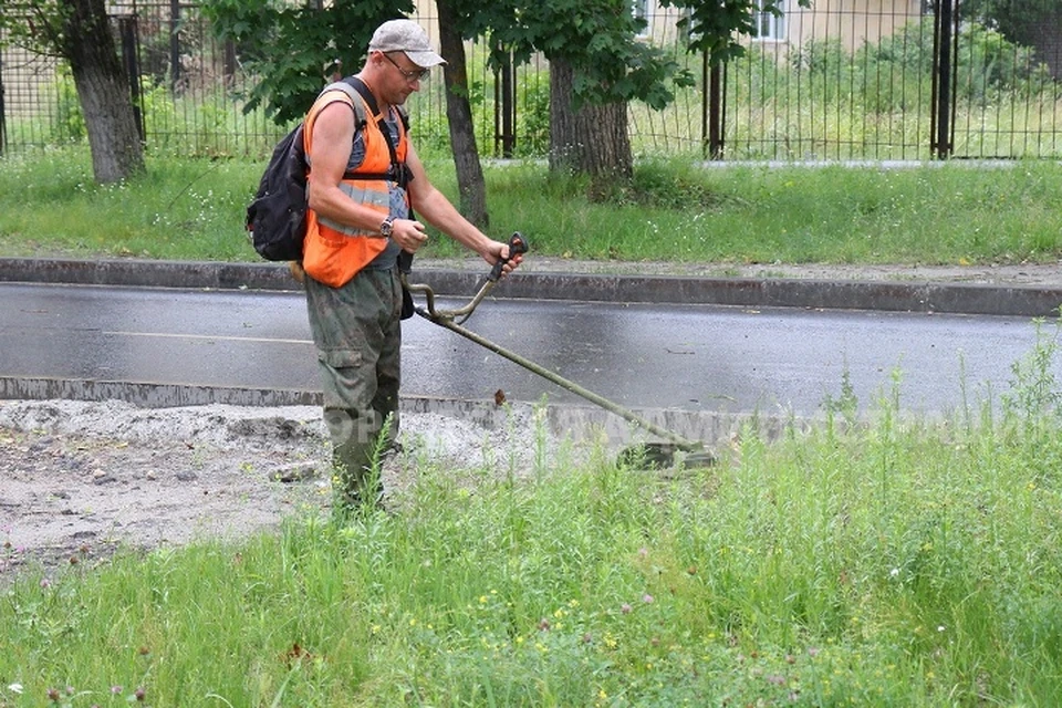 Фото: пресс-служба Брянской городской администрации.
