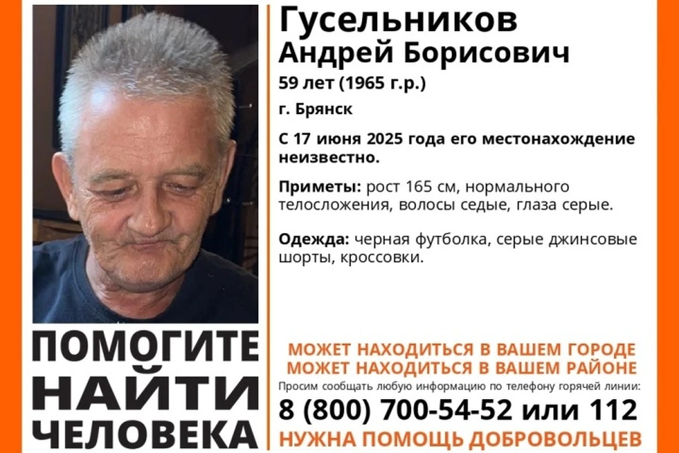 Фото: поисковый отряд "Лиза Алерт", ВКонтакте.