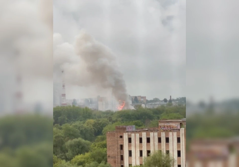 Площадь возгорания составила 20 квадратных метров. Фото: скриншот видео