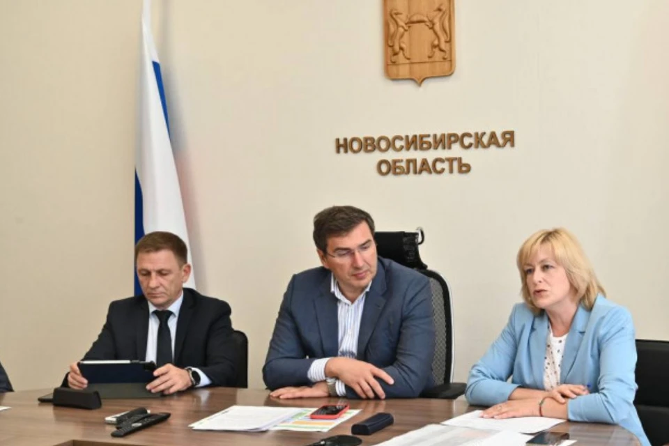 Власти дали старт образовательному проекту. Фото: Правительство Новосибирской области