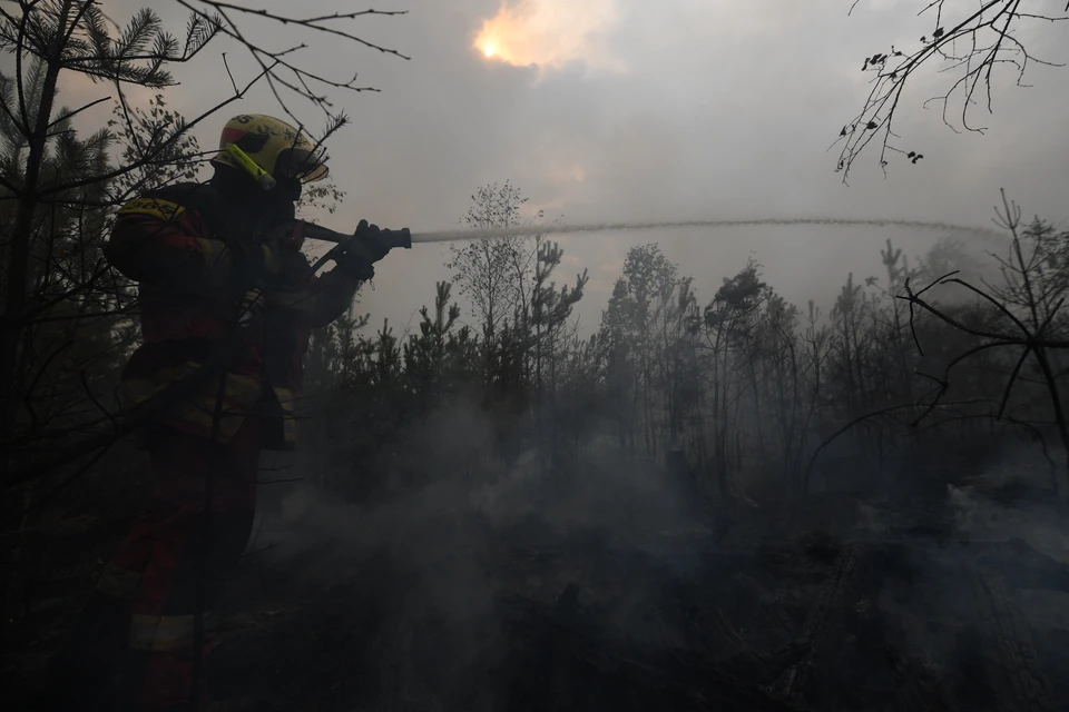 В Крыму 28 июня было зарегистрировано 20 пожаров.