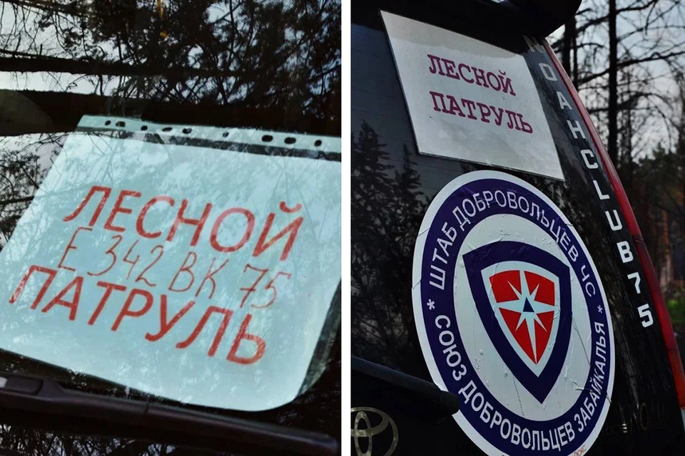 Фото: Пресс-служба партии «Новые люди»