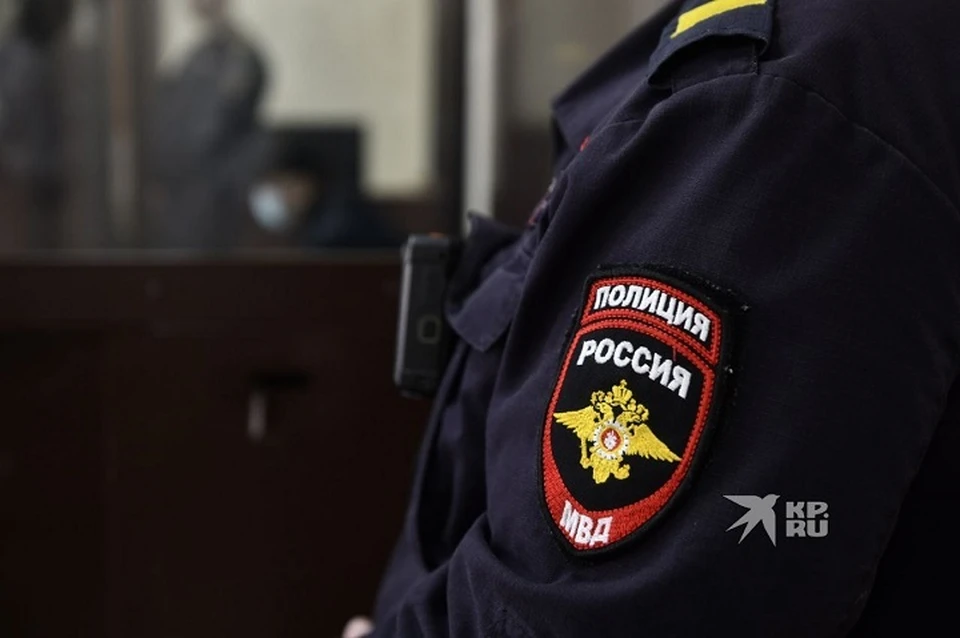 Фигурант пойдет под суд