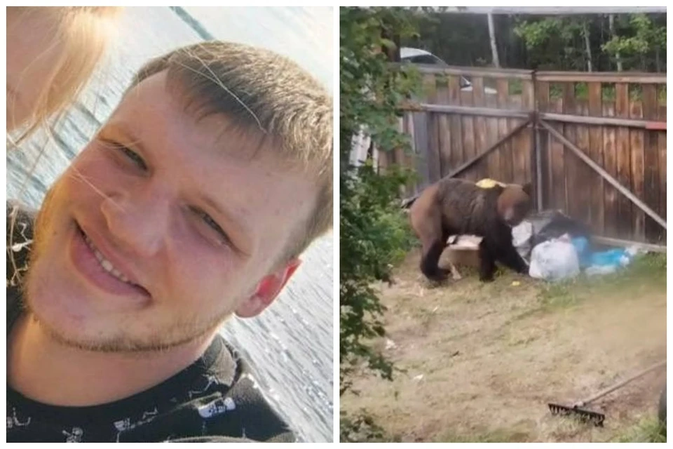Хозяин участка сначала растерялся, но быстро нашел выход из положения: решил попробовать старый добрый способ отпугивания диких животных – крикнуть погромче. Фот: личный архив героя публикации