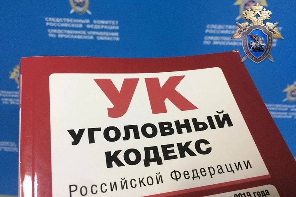 Виновник трагедии получил восемь лет колонии. Фото: СУ СК РФ по Ярославской области