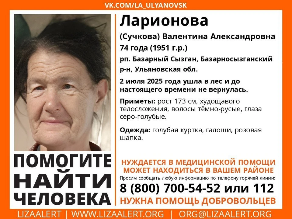 В Ульяновской области 2 июля пропала 74-летняя женщина. Фото ЛизаАлерт