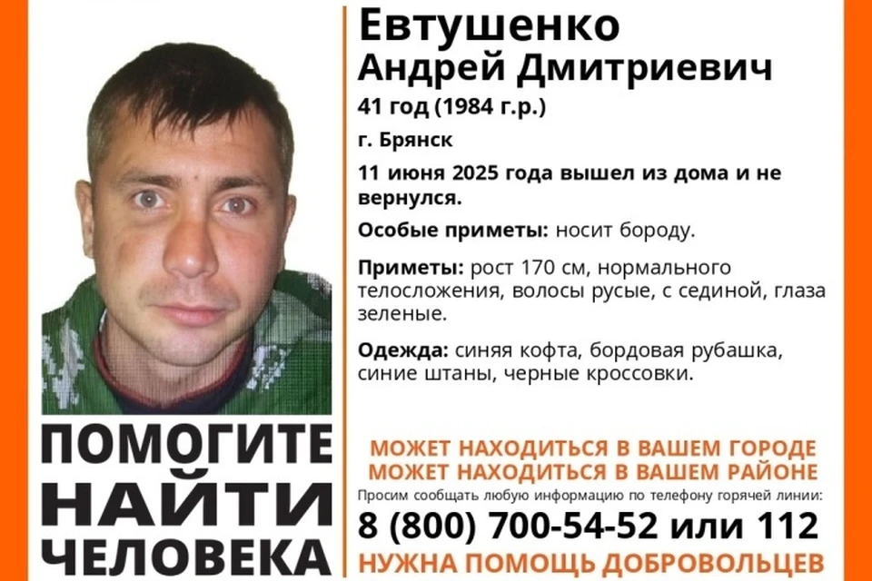 Фото: поисковый отряд "Лиза Алерт", ВКонтакте.