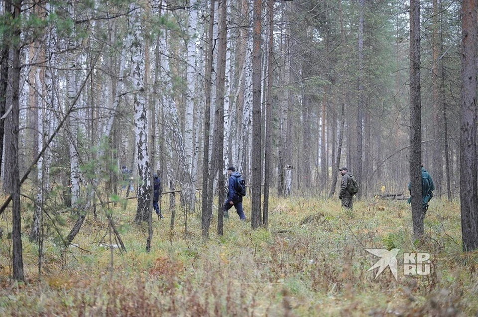 Волонтеры искали пропавших в лесу и городе