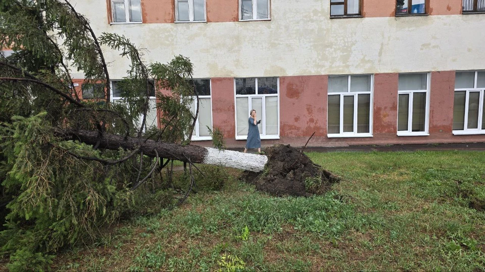 Фото: телеграм-канал «Омск путеводитель»
