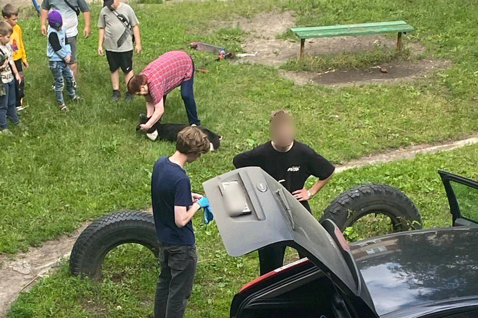 Сотрудников частного отлова обвиняют в убийстве домашней собаки. Фото: "Зоопатруль НН".