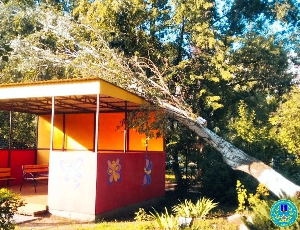 Фото: УГЗ