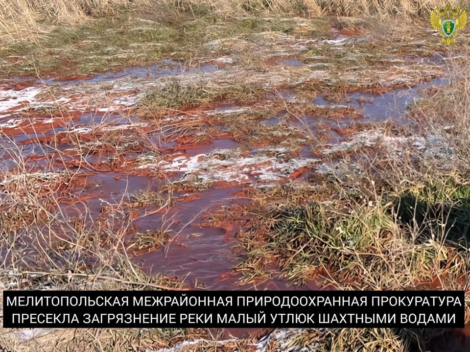 Фото: прокуратура Запорожской области