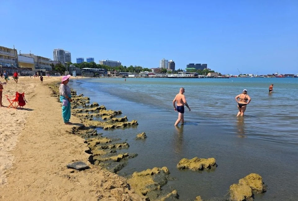 Зеленые берега и почерневшее море - в Анапе очередное нашествие камки. Фото: Андрей МАКОВОЗОВ