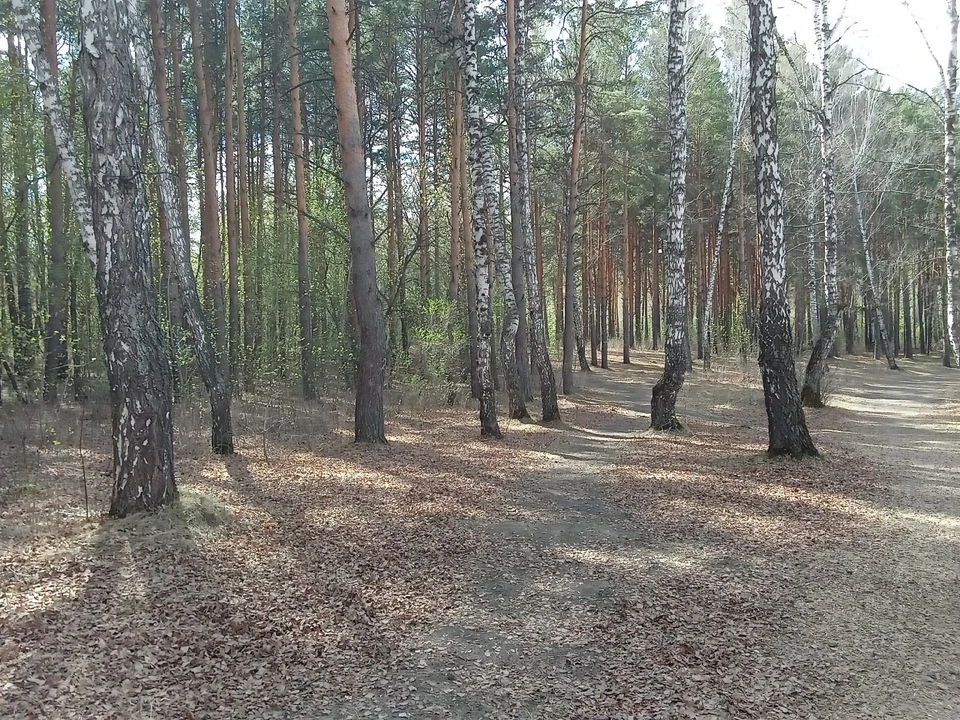 Погода на Ямале на 8 июля