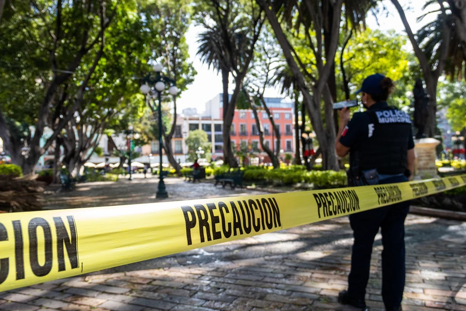Фото: Alejandro_Munoz/Shutterstock/Fotodom
