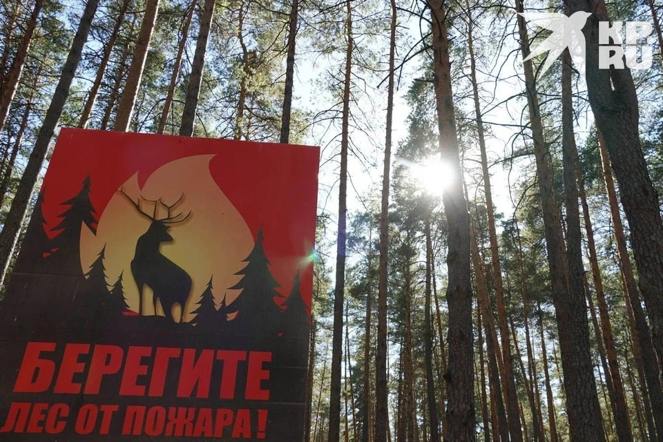 На территории Рязани установлен особый противопожарный режим.