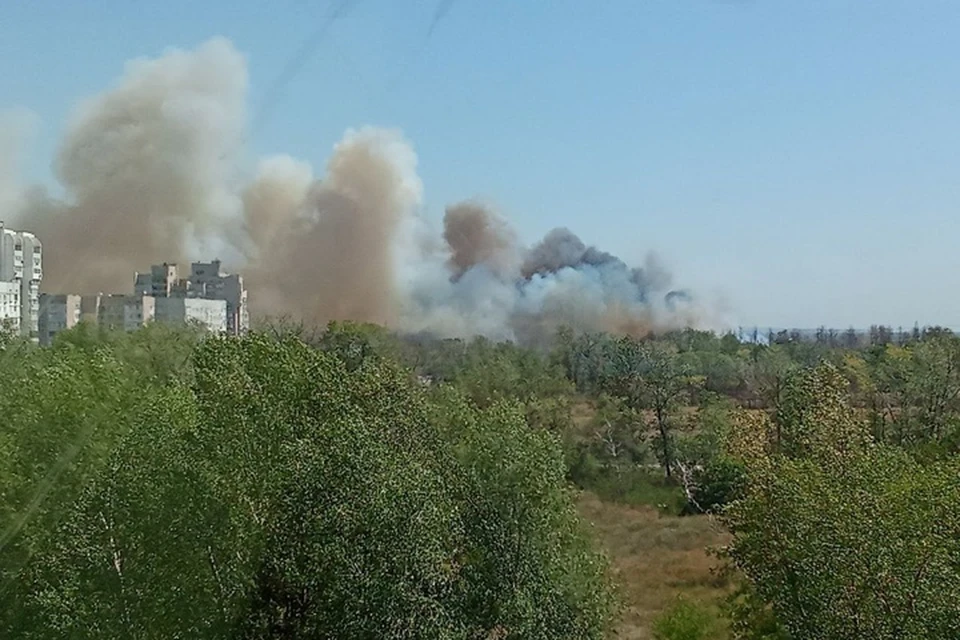 В Энергодара горит сухая трава. Фото: тг-канал Максима Пухова