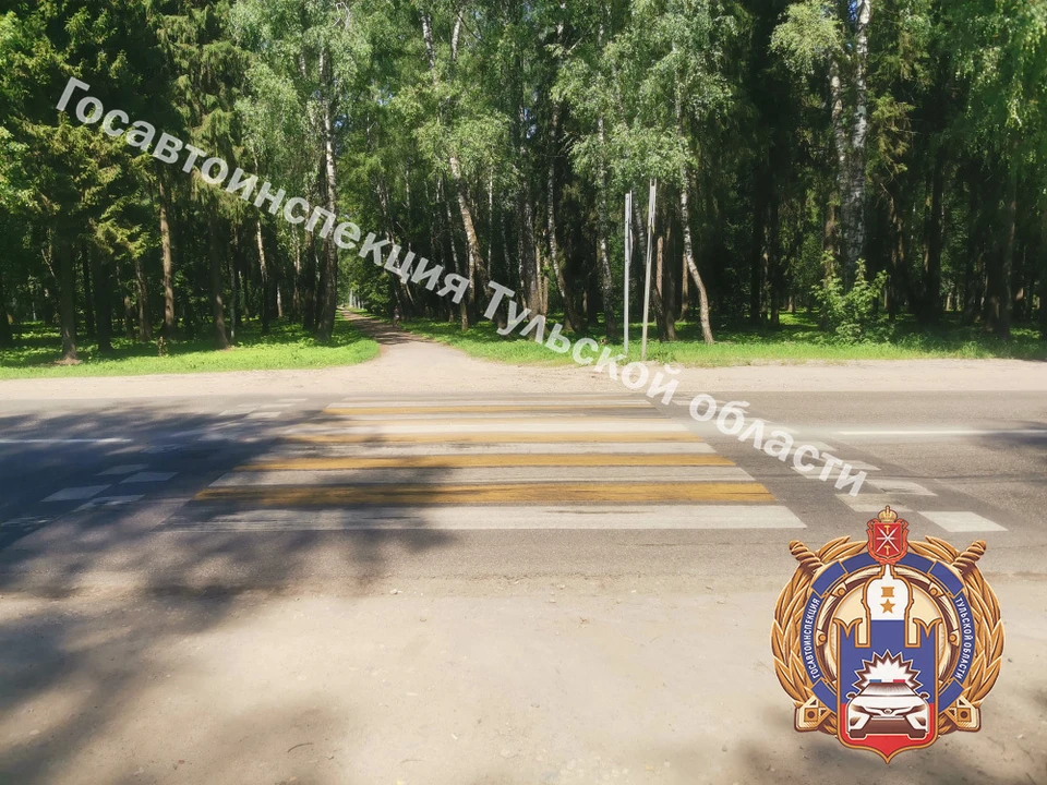 Пешеход попал под колеса легковушки в Новомосковске Тульской области