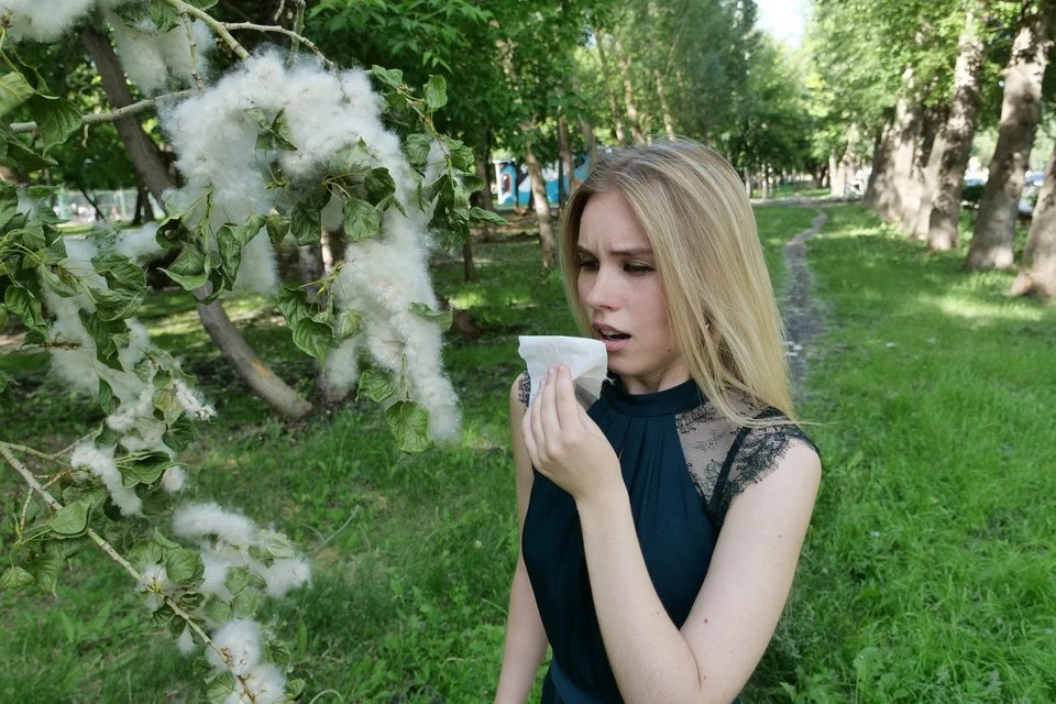 Тополиный пух - один из распространенных аллергенов.