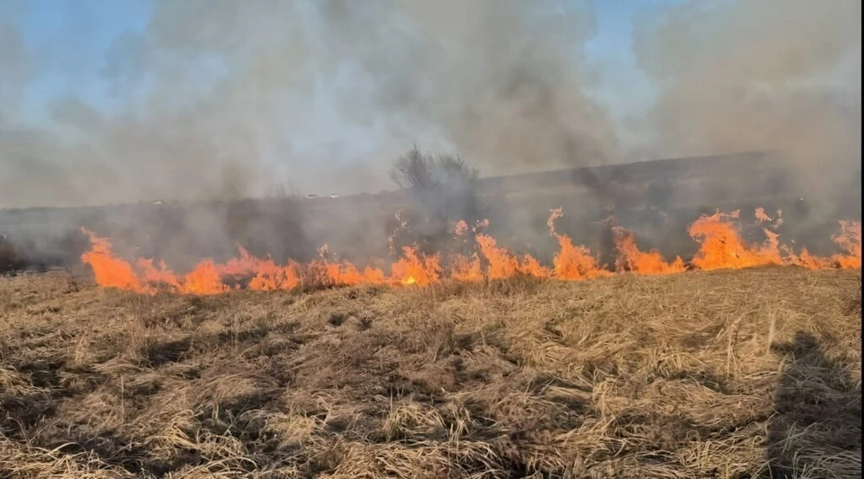 В Молдове объявили желтый код из-за пожаров. Фото:соцсети