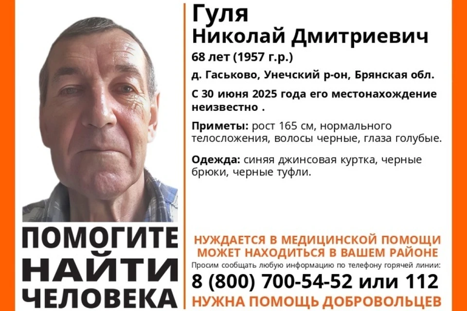 Фото: поисковый отряд "Лиза Алерт". ВКонтакте.