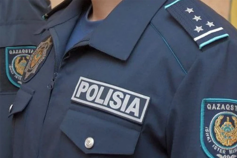 Источник: polisia.kz